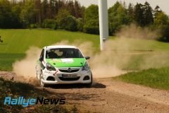 birkenfeld25_wp1_ws059
