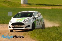 birkenfeld25_wp1_ws085