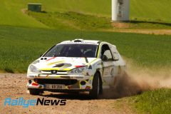 birkenfeld25_wp1_ws091