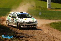 birkenfeld25_wp1_ws113