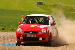 birkenfeld25_wp1_ws115