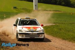 birkenfeld25_wp1_ws124