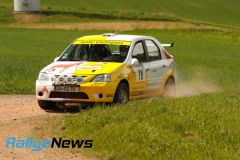 birkenfeld25_wp1_ws127