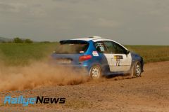 birkenfeld25_wp1_ws132
