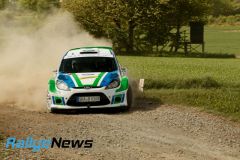 birkenfeld25_wp3_ws039
