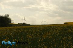 birkenfeld25_wp3_ws123