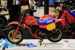 IMS-Luxembourg-2025_MH-136